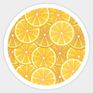 Orange Slices Sticker